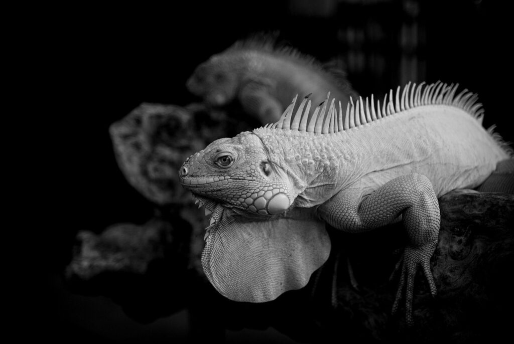 偏頭痛を和らげる夜勤中の対策は？