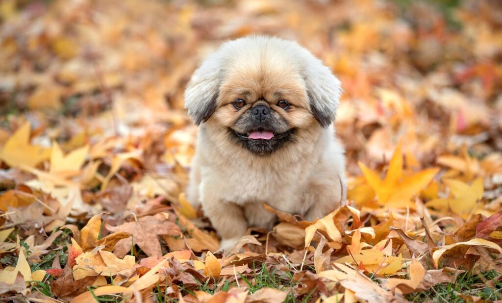 日勤とはどのような勤務形態なのか解説しますか？