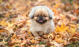 日勤の意味とは？