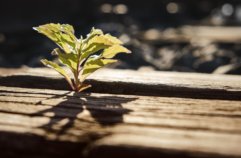 日勤帯とは何か、具体的な意味と特徴を教えてください？