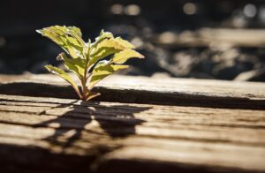 日勤帯とは何か、具体的な意味と特徴を教えてください？